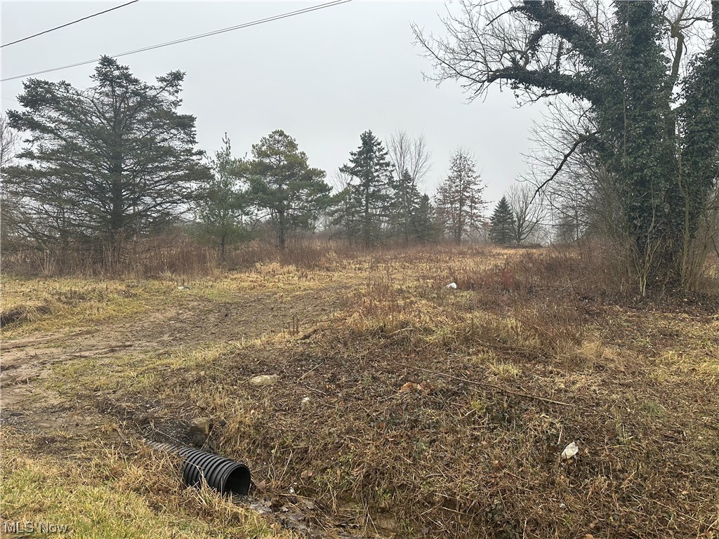 Palmer Road