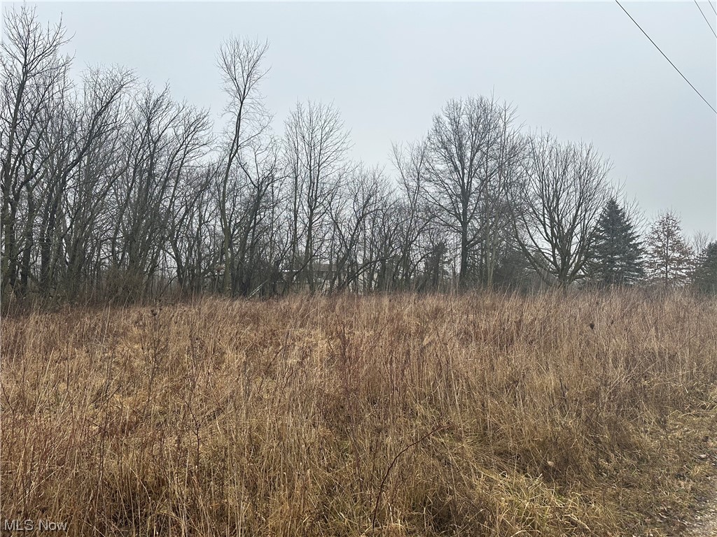 Palmer Road