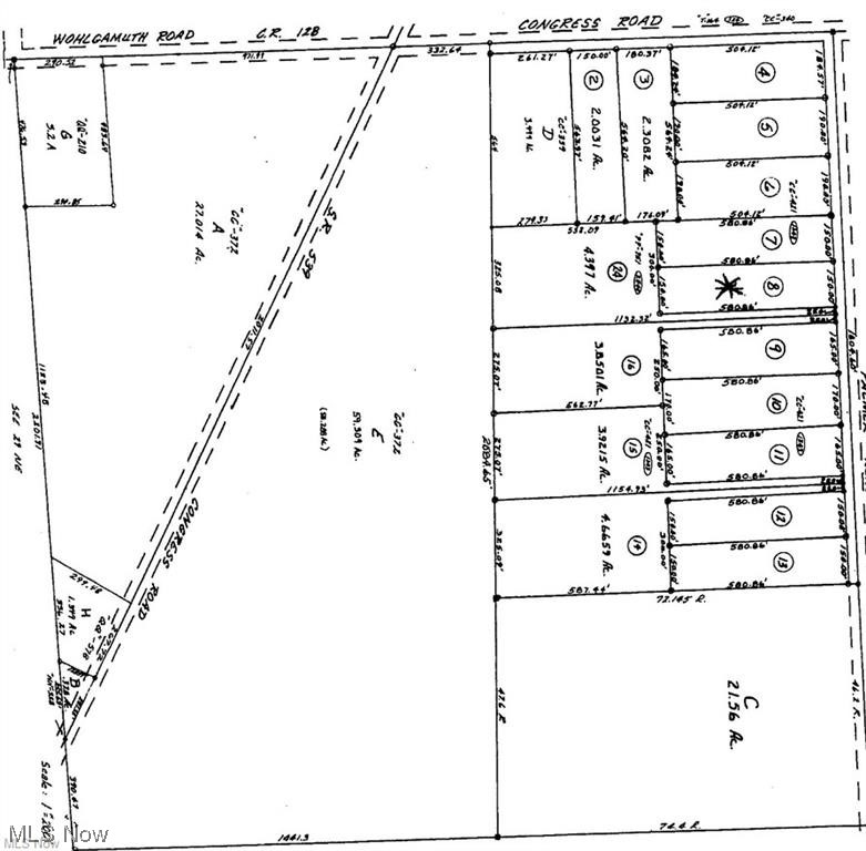 Palmer Road
