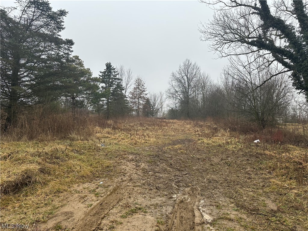 Palmer Road