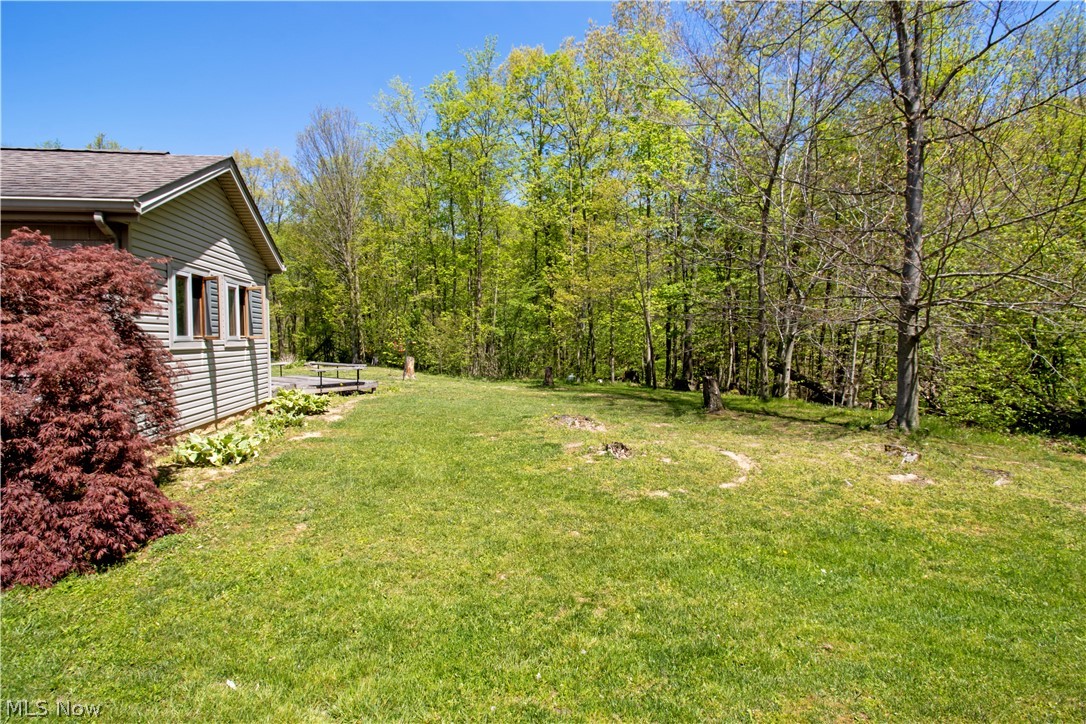 975 County Road 175