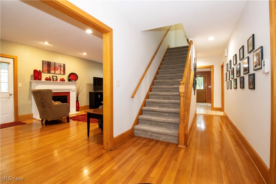 233 Elm Drive