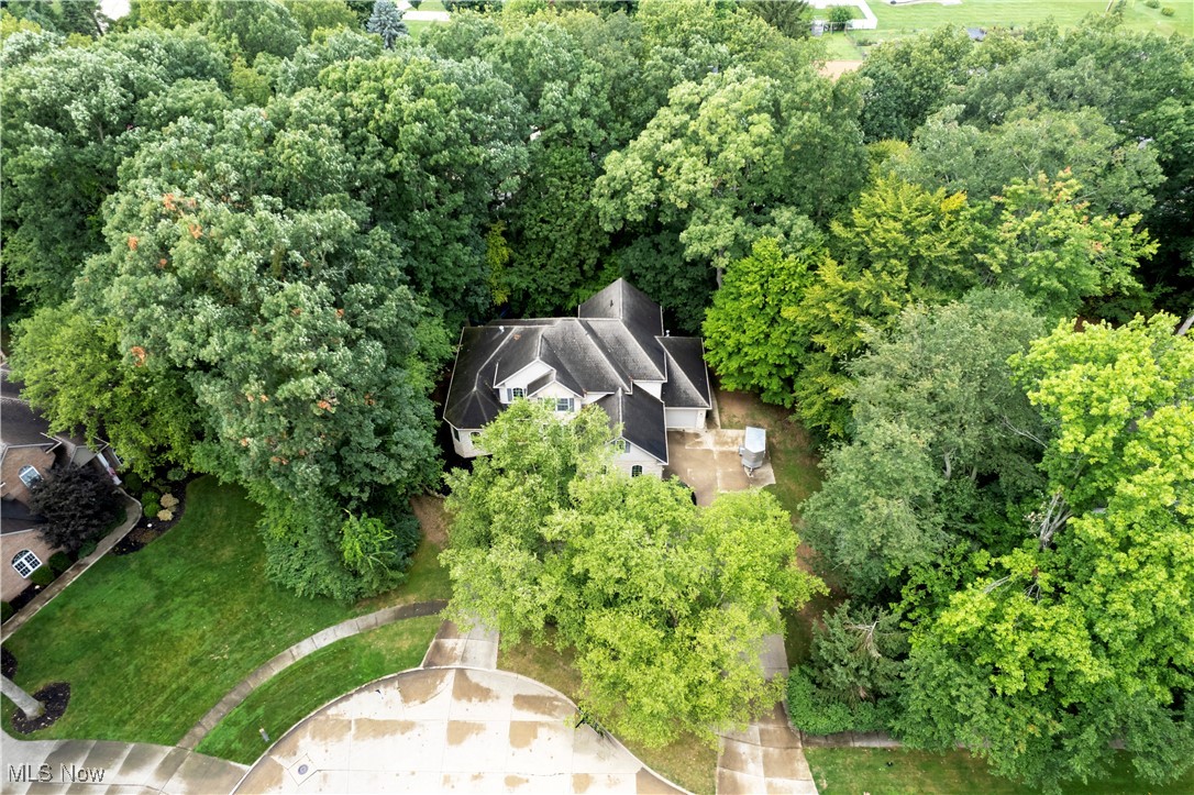 925 Woodmere