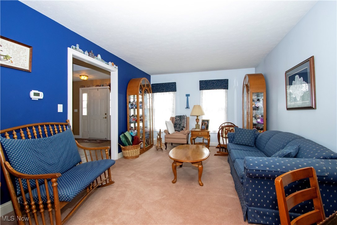 10050 Mennonite Road
