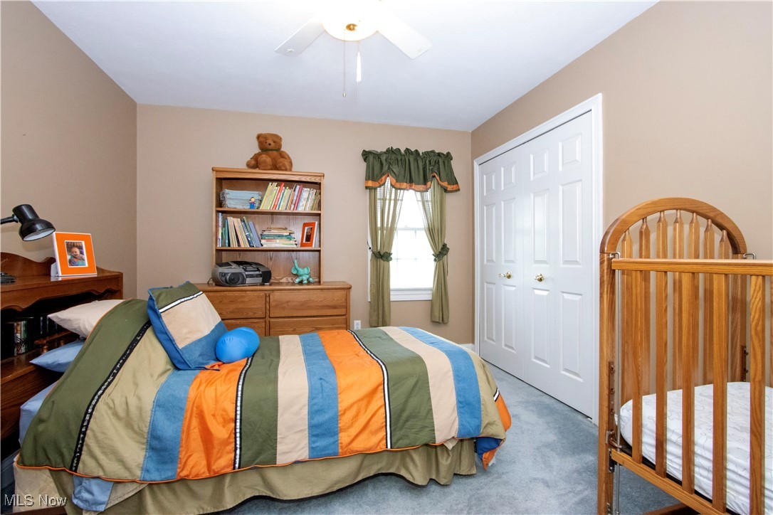 10050 Mennonite Road