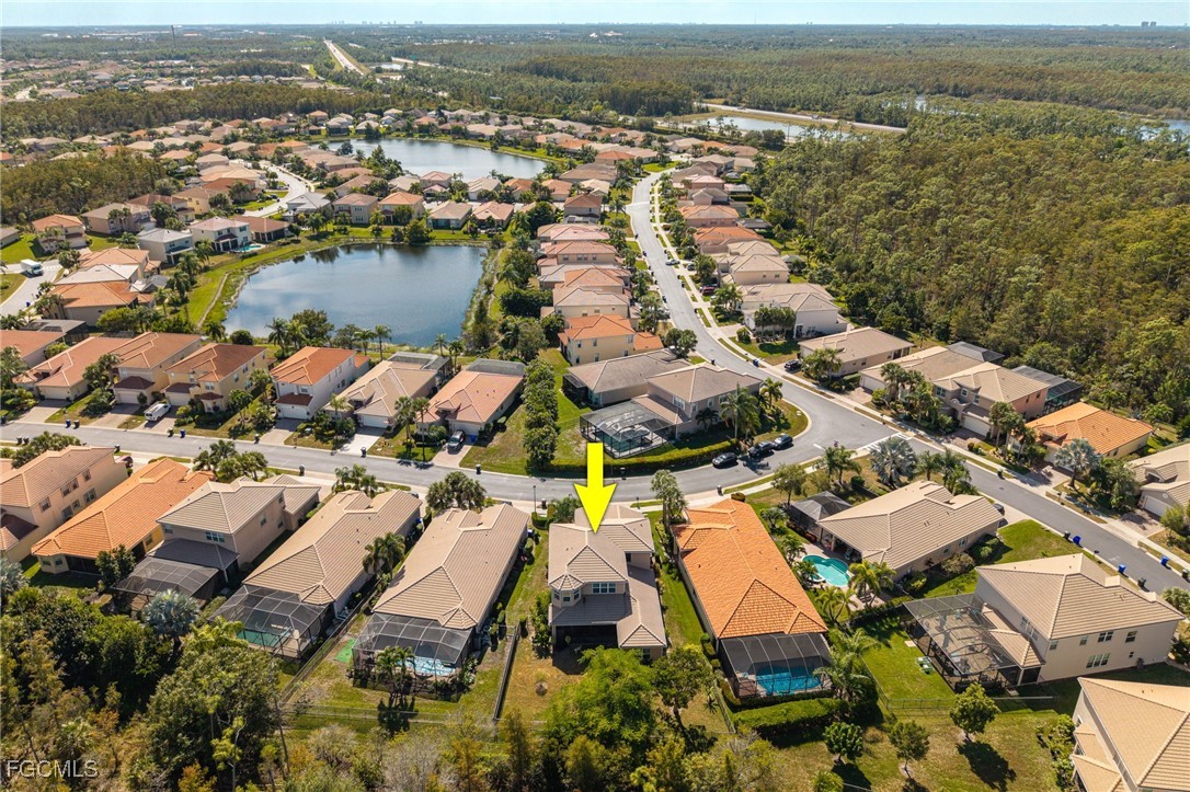 10117 Silver Maple CT