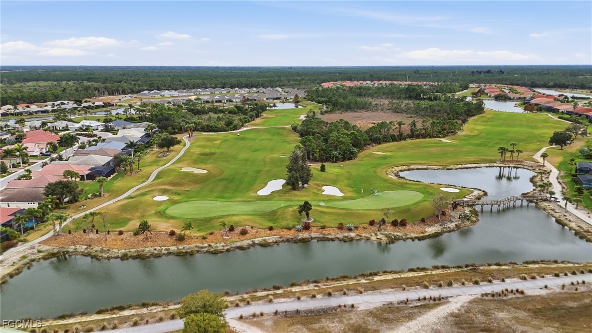 20684 Plumwood LOOP