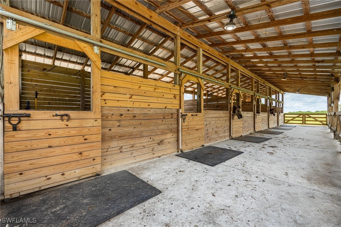 1125 Bronco CT