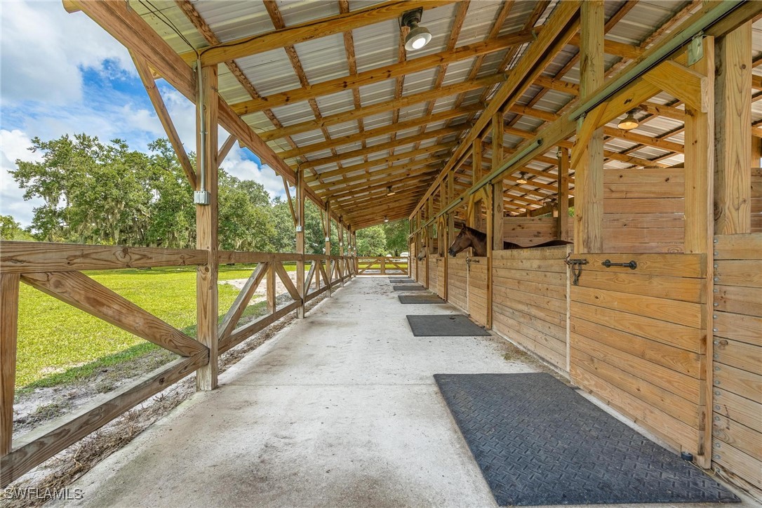 1125 Bronco CT