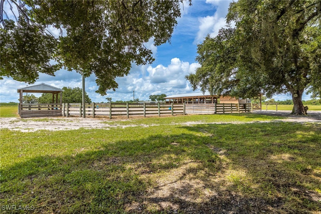 1125 Bronco CT