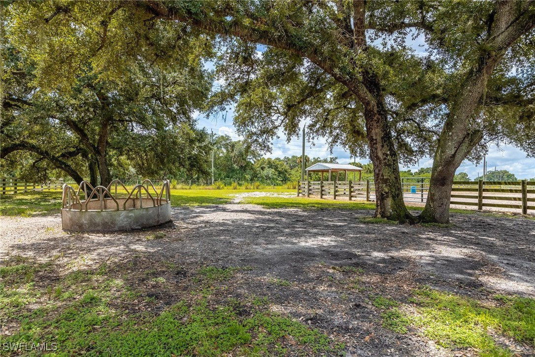 1125 Bronco CT