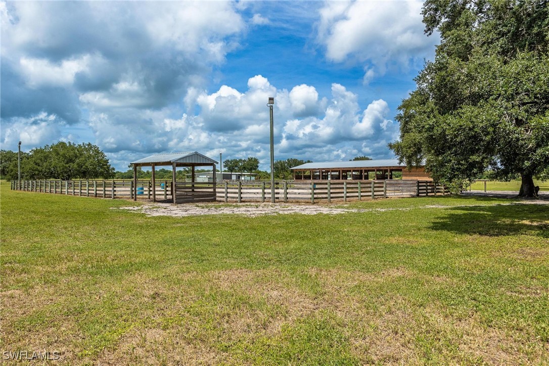 1125 Bronco CT
