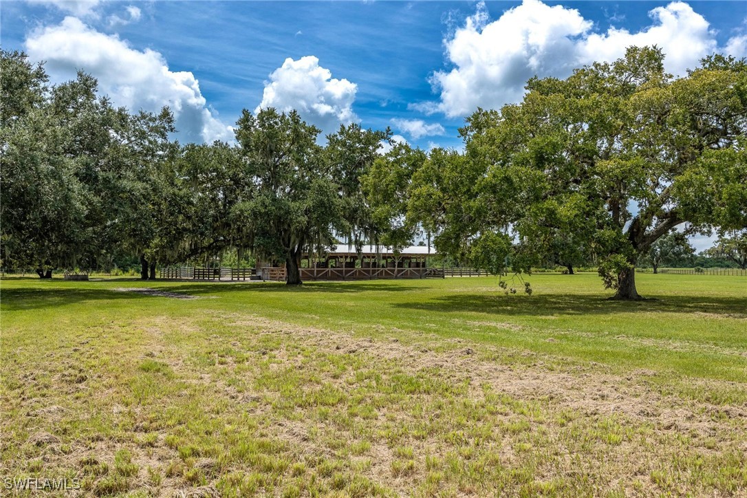 1125 Bronco CT