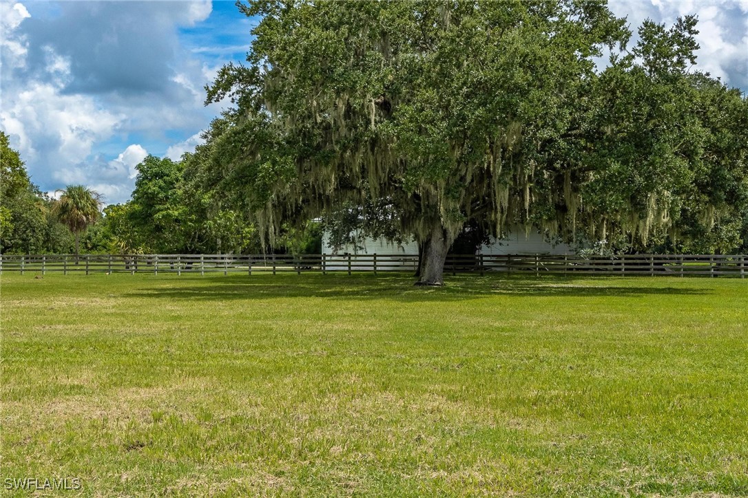 1125 Bronco CT