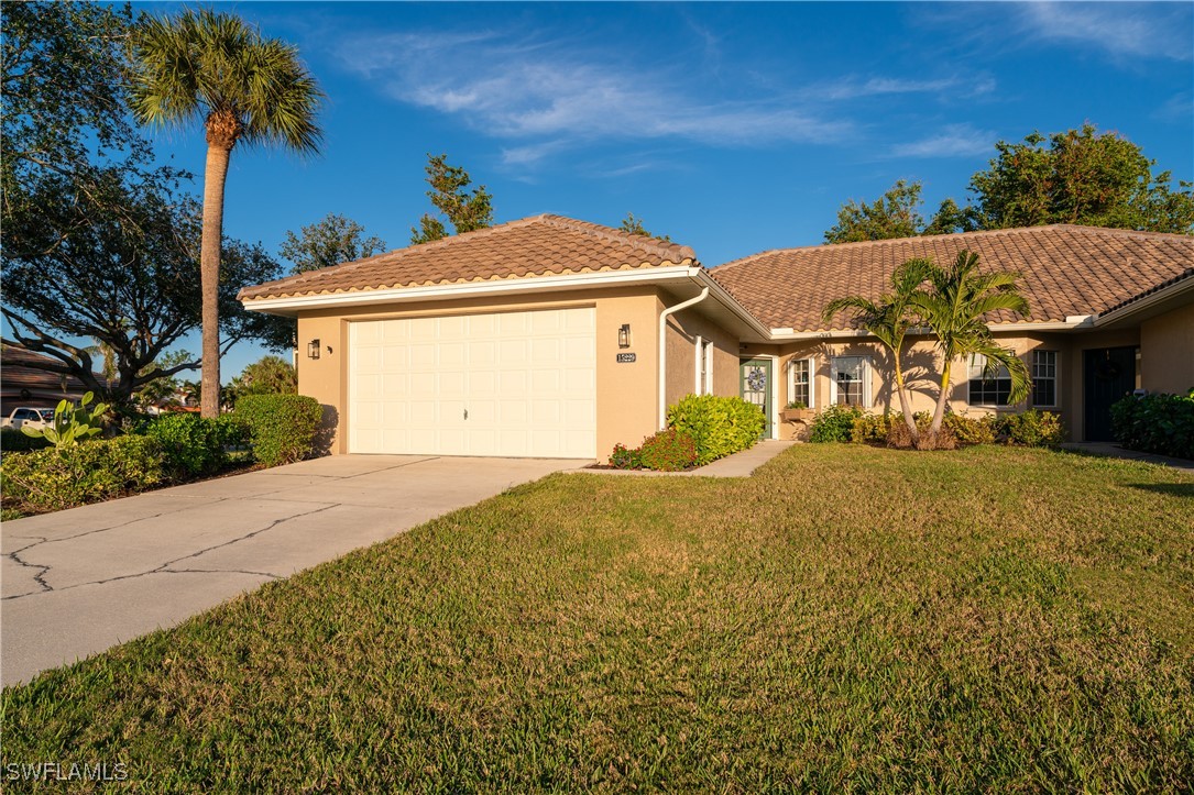 15229 Tropicbird CT