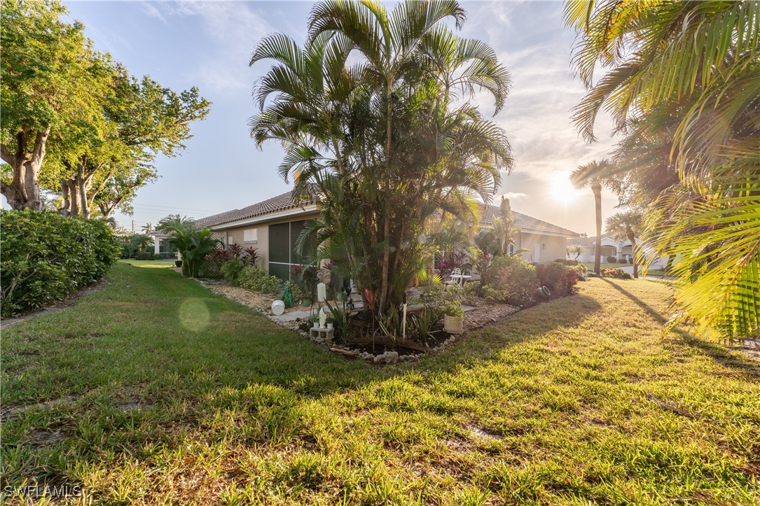 15229 Tropicbird CT