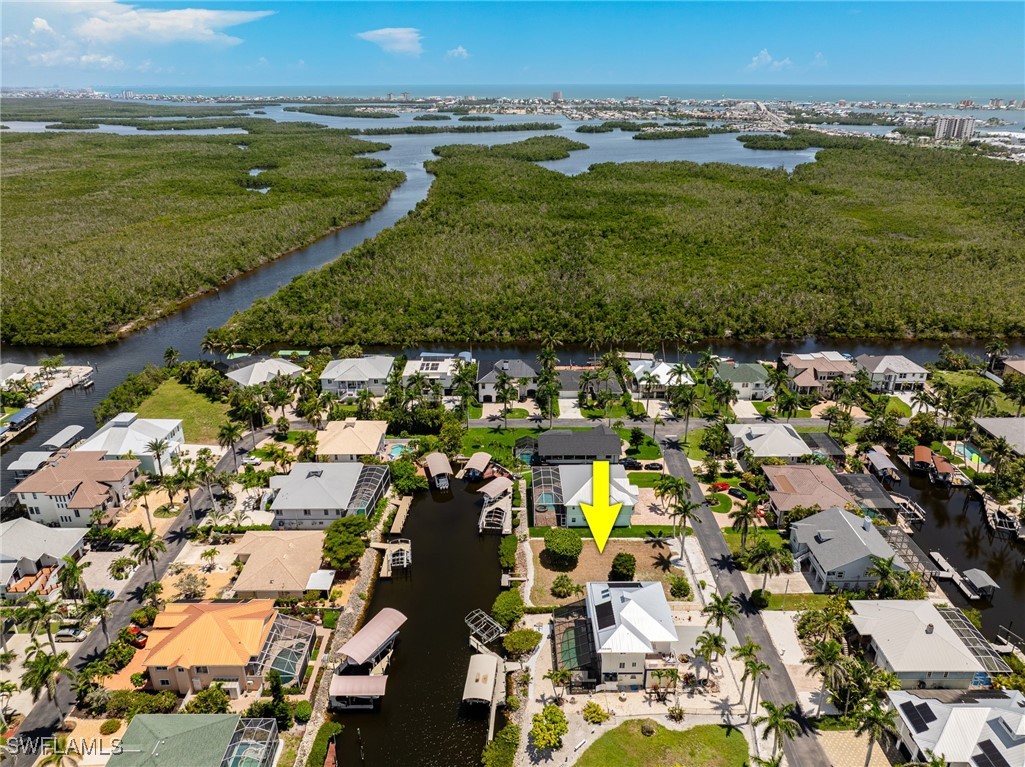 17921 Grey Heron CT