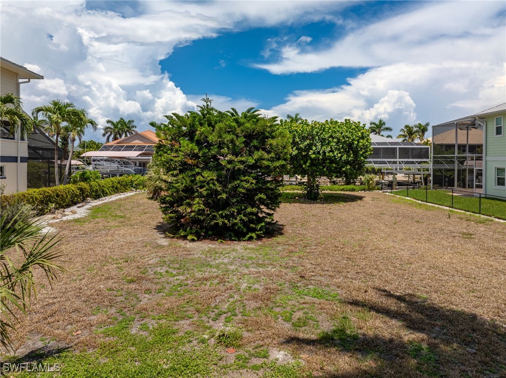 17921 Grey Heron CT