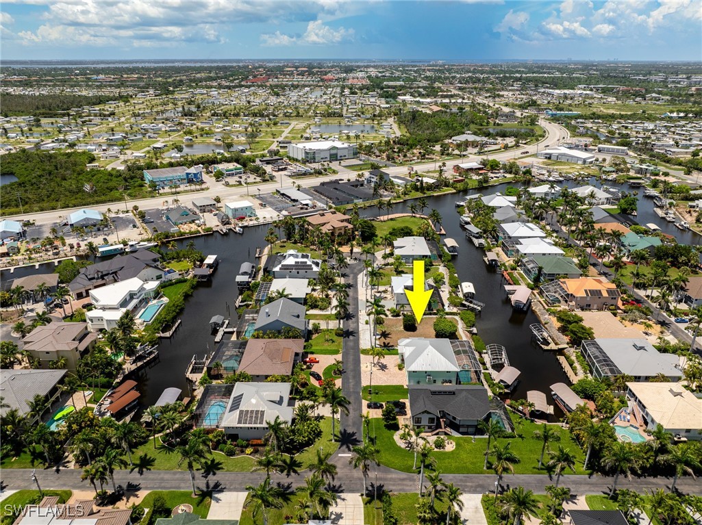 17921 Grey Heron CT