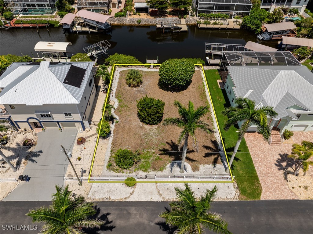 17921 Grey Heron CT