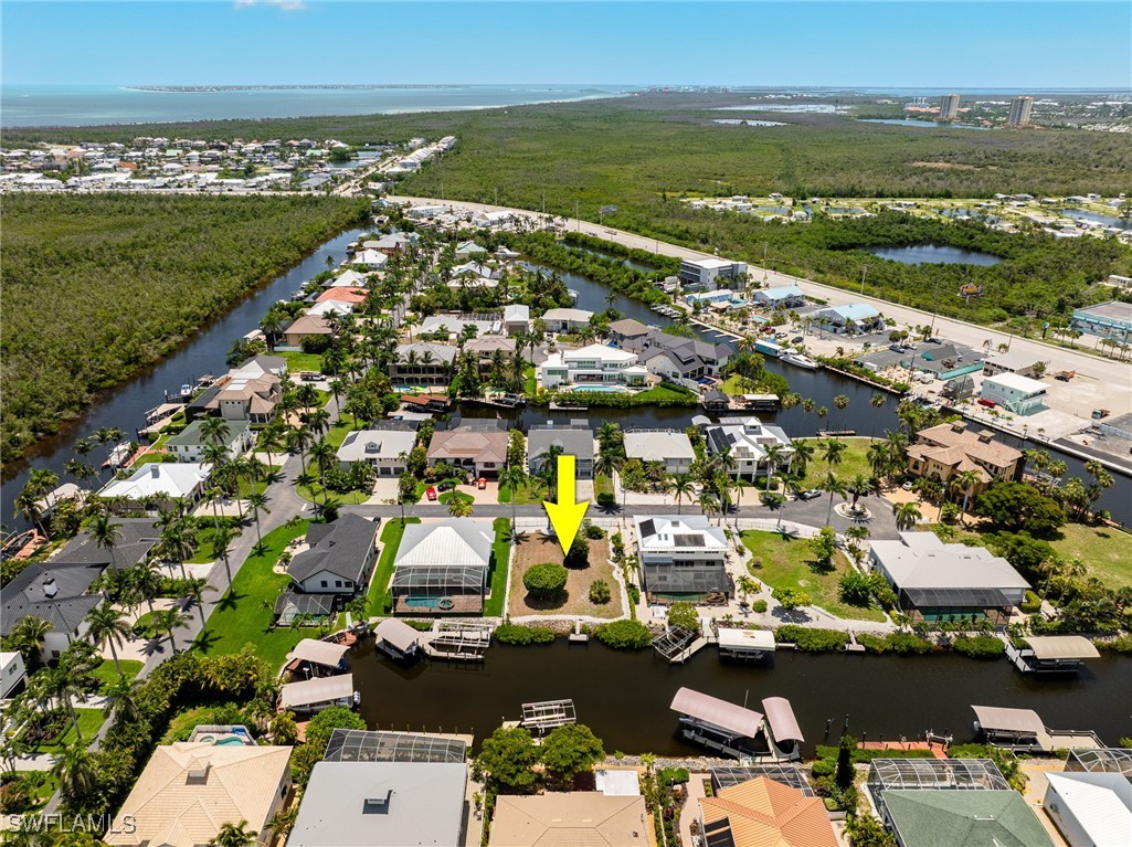 17921 Grey Heron CT