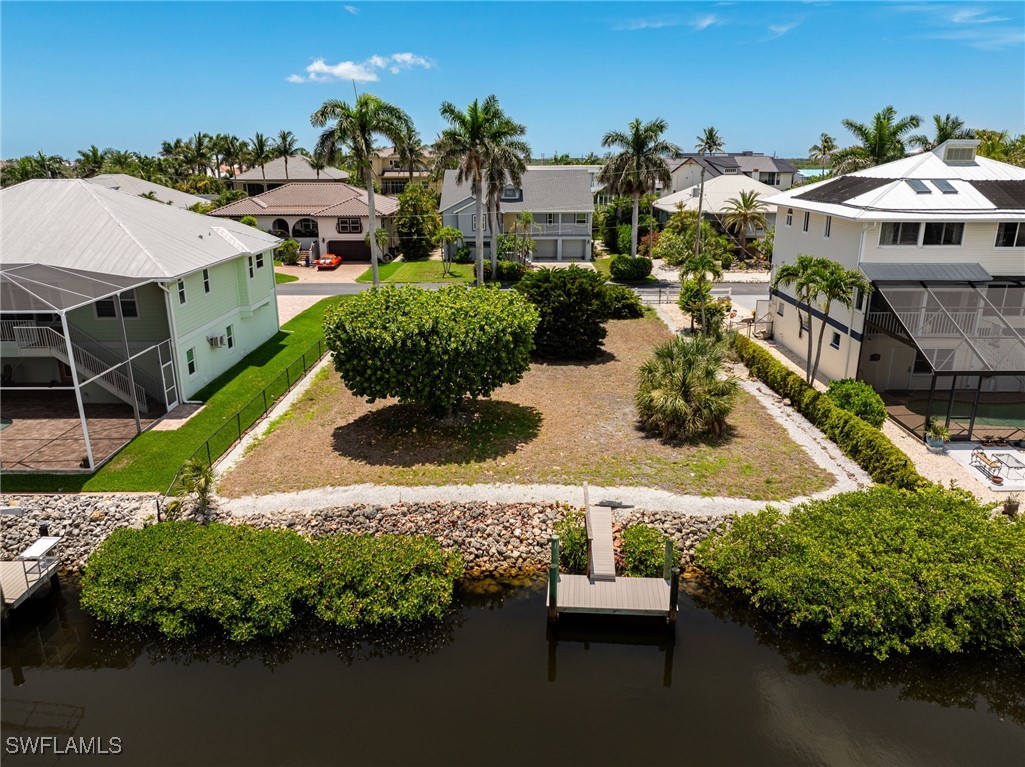 17921 Grey Heron CT