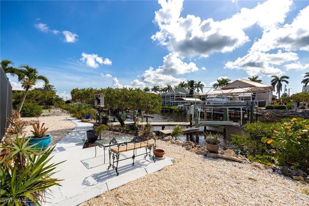 17911 Grey Heron CT