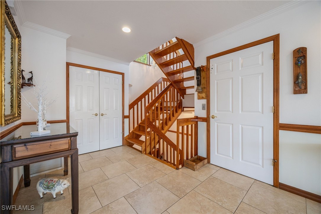 17911 Grey Heron CT
