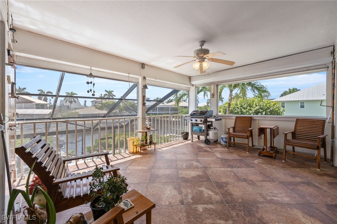 17911 Grey Heron CT