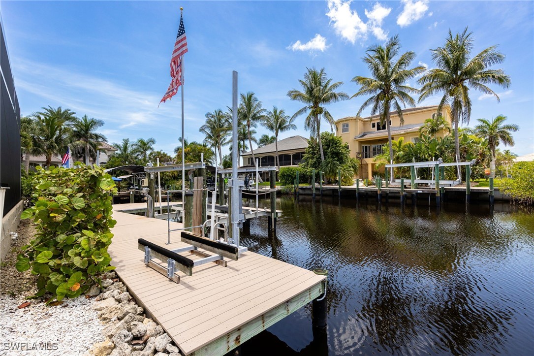 17930 Grey Heron CT
