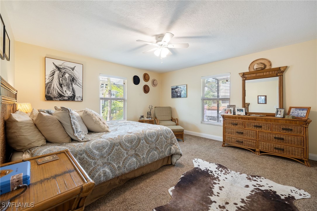 17930 Grey Heron CT
