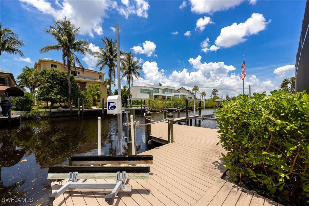 17930 Grey Heron CT