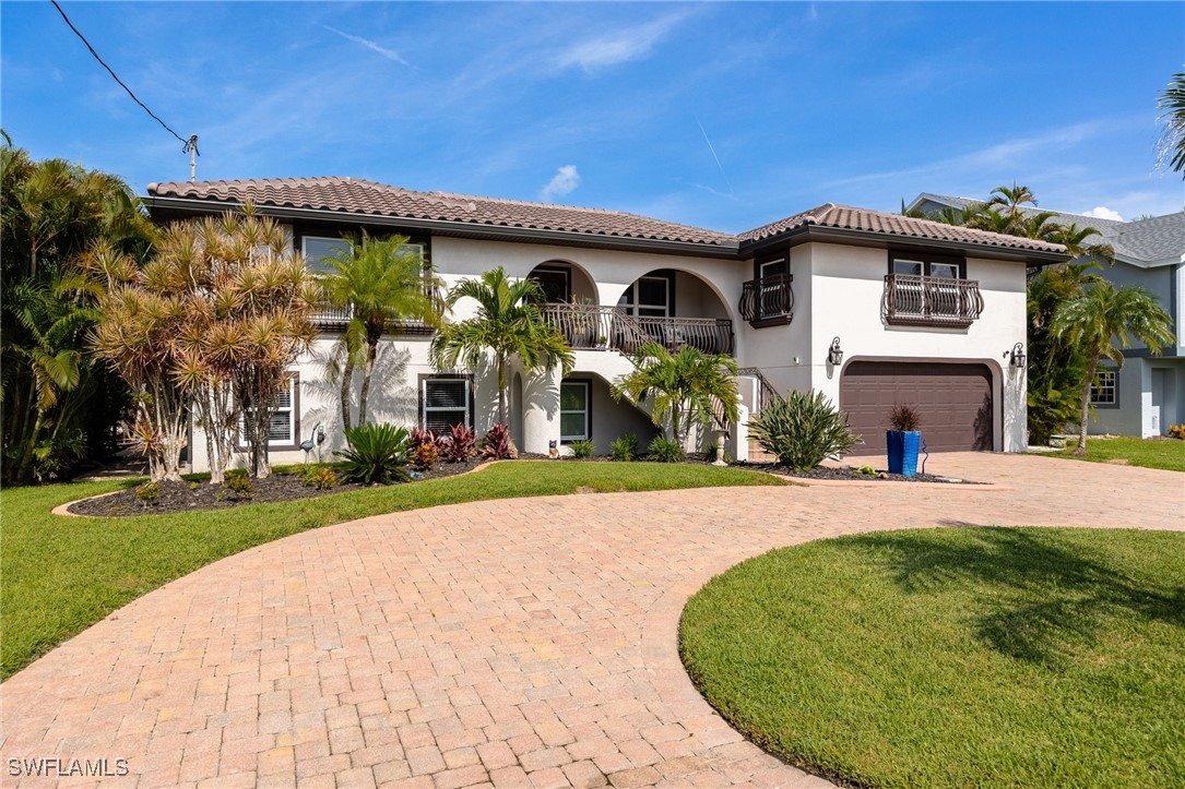 17930 Grey Heron CT