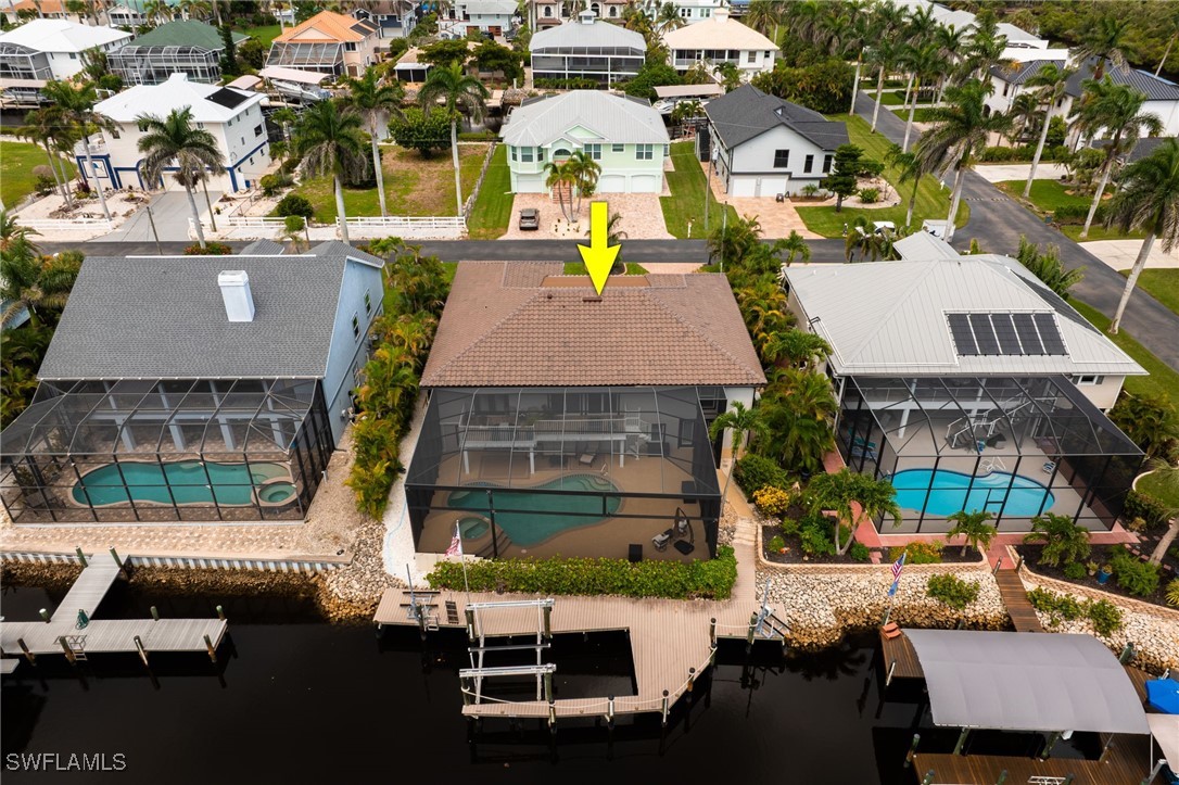 17930 Grey Heron CT