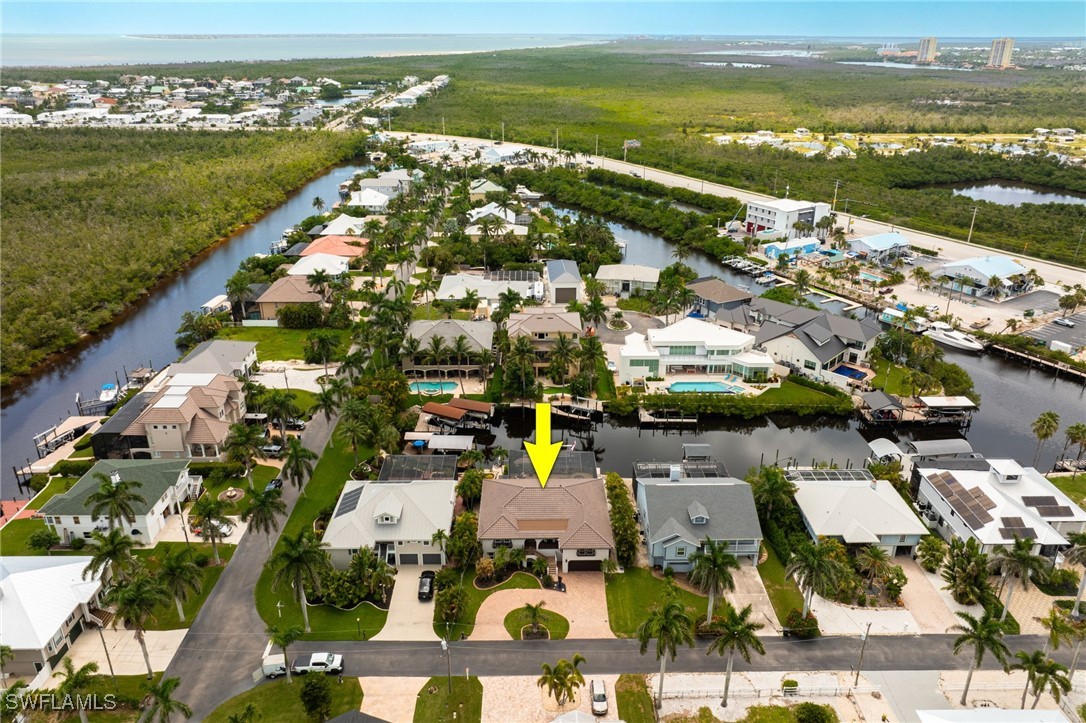17930 Grey Heron CT