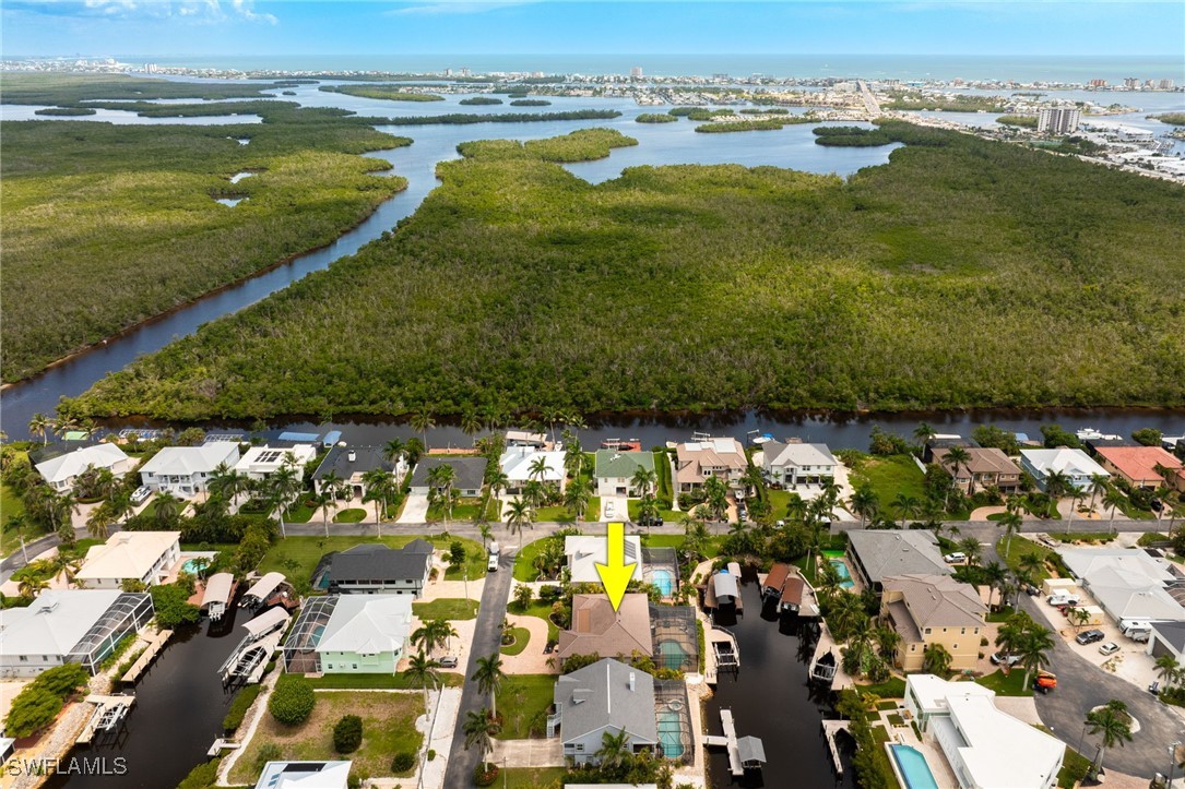 17930 Grey Heron CT