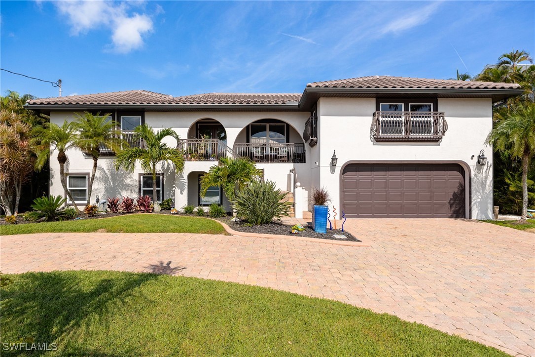 17930 Grey Heron CT