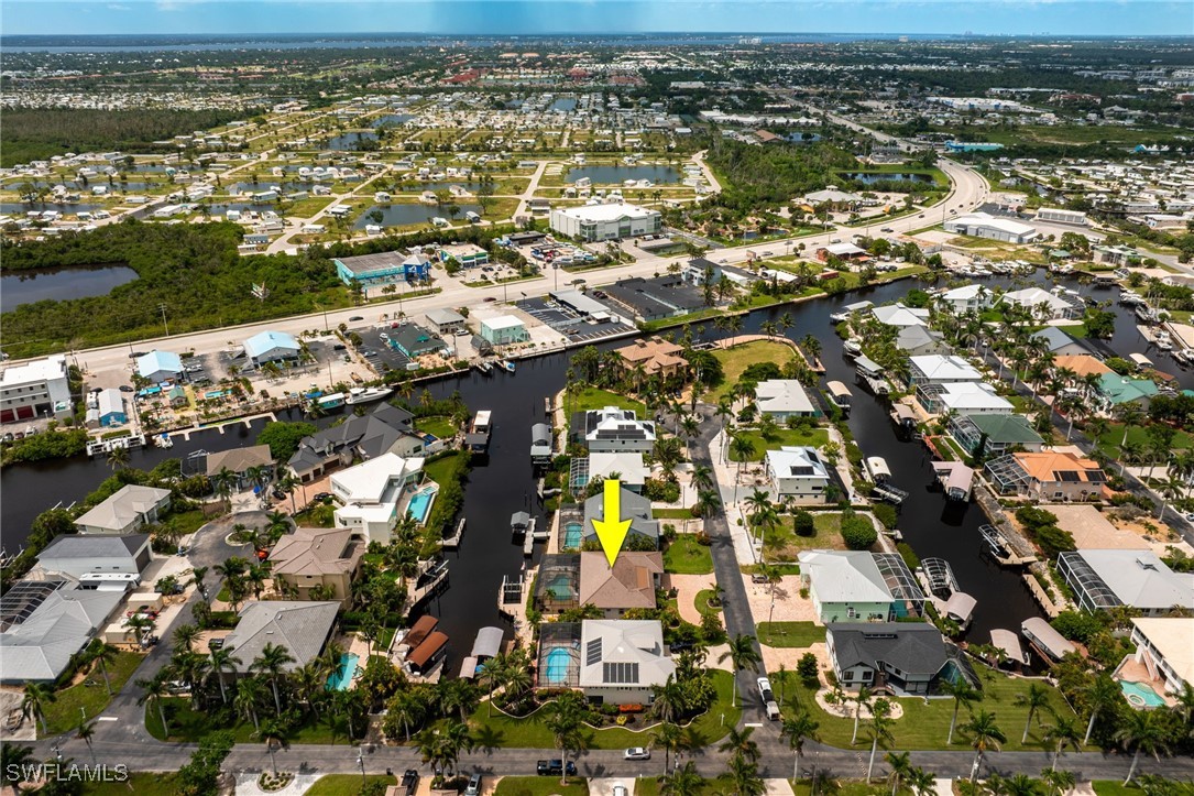 17930 Grey Heron CT