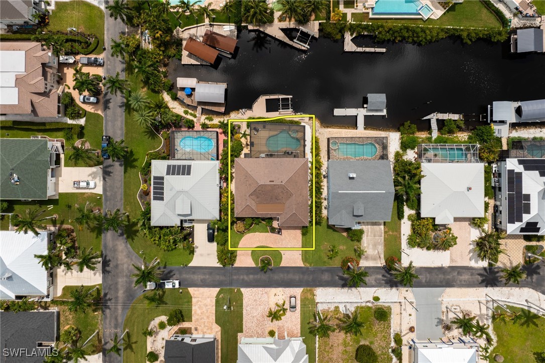 17930 Grey Heron CT