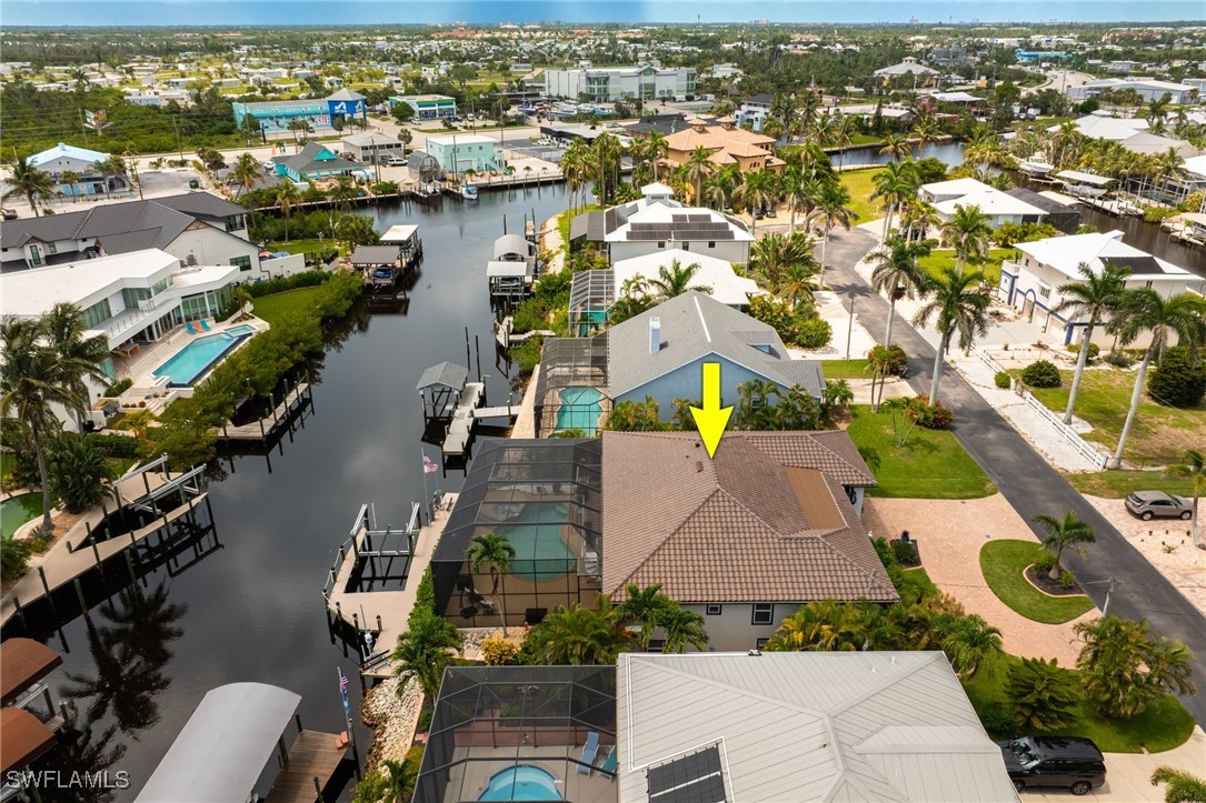 17930 Grey Heron CT