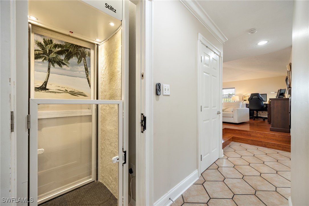 17930 Grey Heron CT
