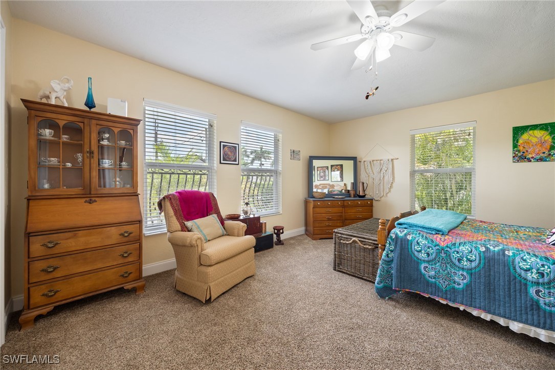 17930 Grey Heron CT
