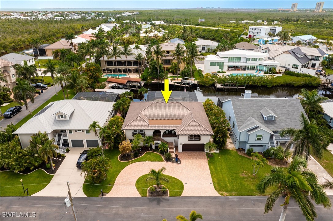 17930 Grey Heron CT