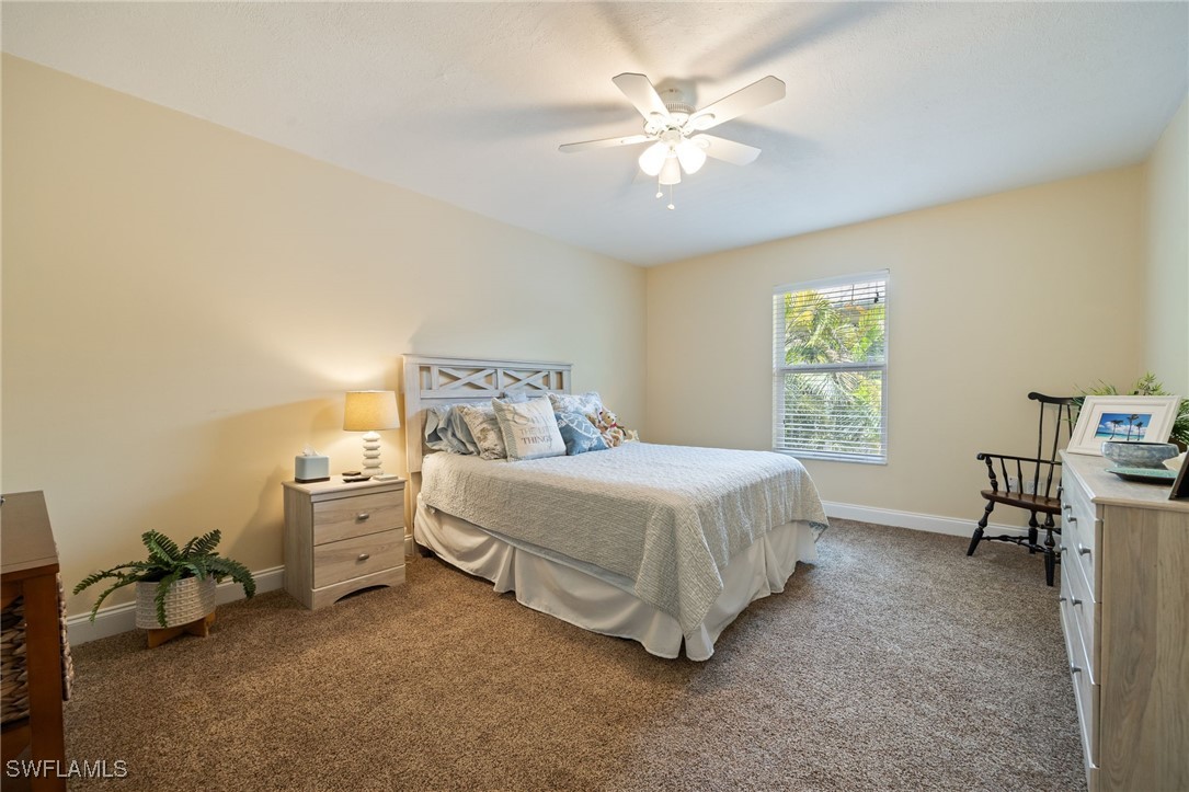 17930 Grey Heron CT