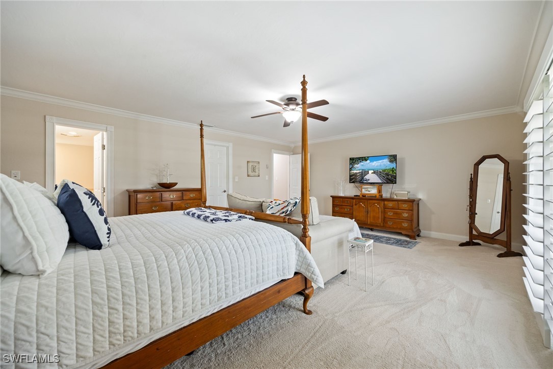 17930 Grey Heron CT