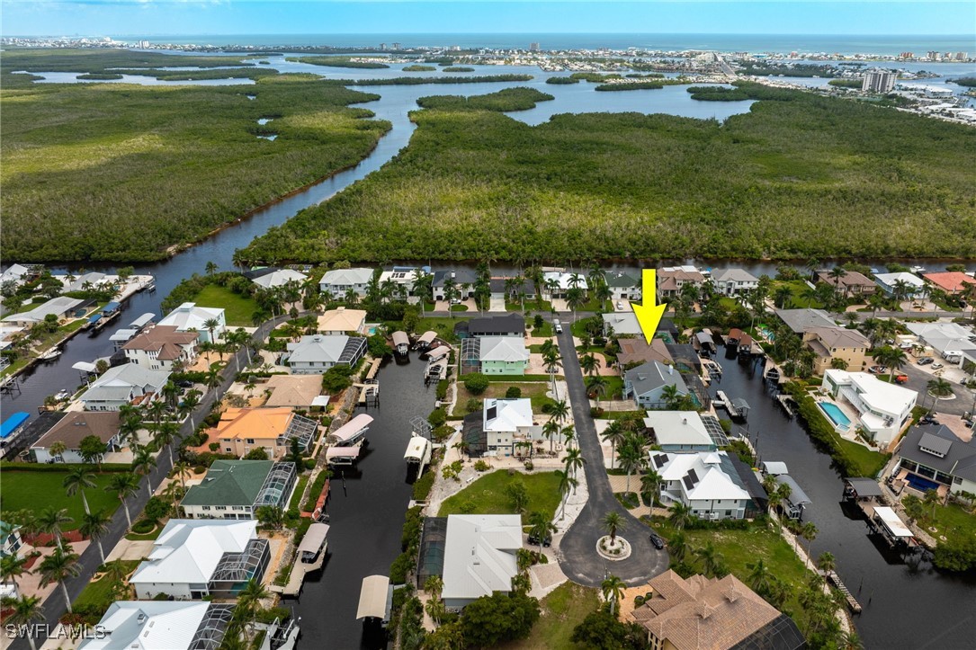 17930 Grey Heron CT