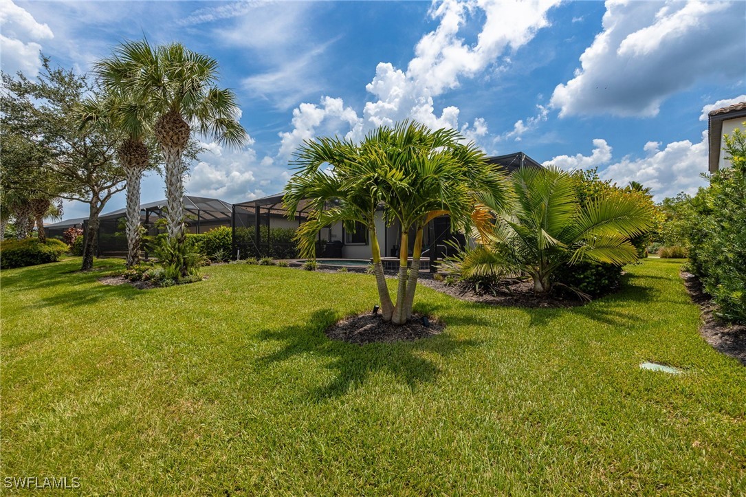 20446 Black Tree LN