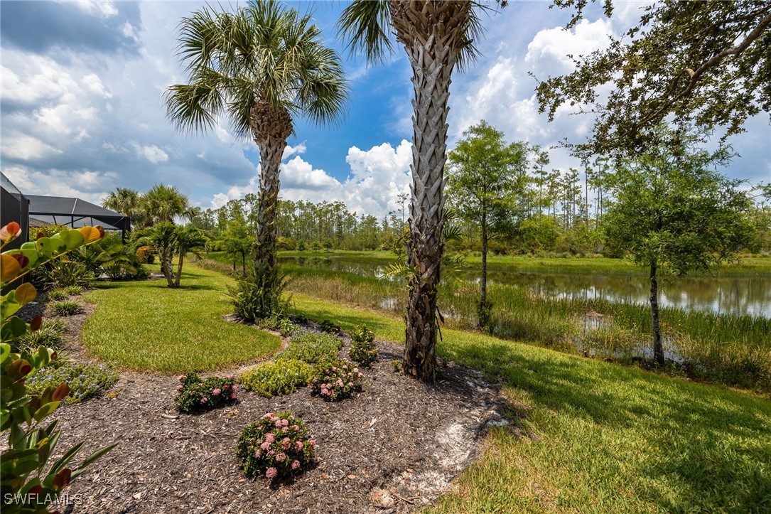 20446 Black Tree LN