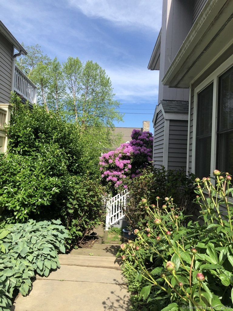 15 Westmere Avenue
