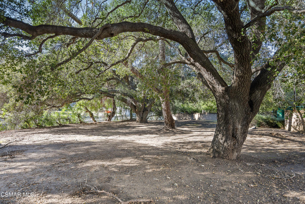 Oak-shaded yard with broad spreading trees and a low wall.